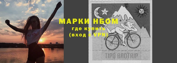стаф Зеленокумск