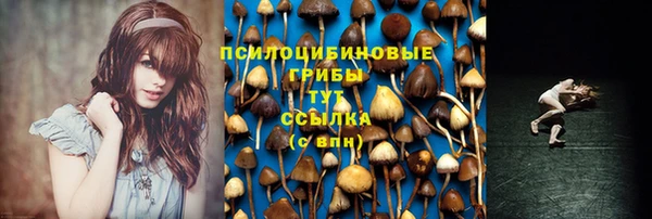 амф Зеленодольск