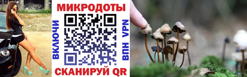 Галлюциногенные грибы мицелий  Калязин 